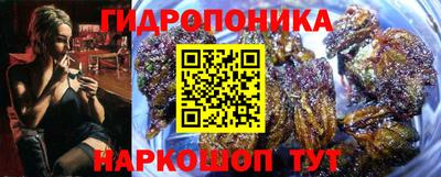 Альфа ПВП Будённовск
