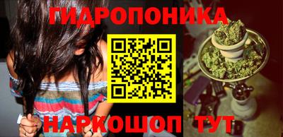Альфа ПВП Будённовск