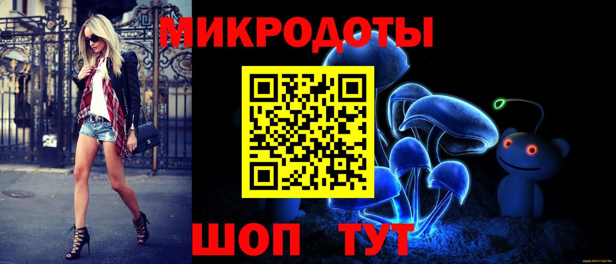 Псилоцибиновые грибы Psilocybine cubensis Краснокамск