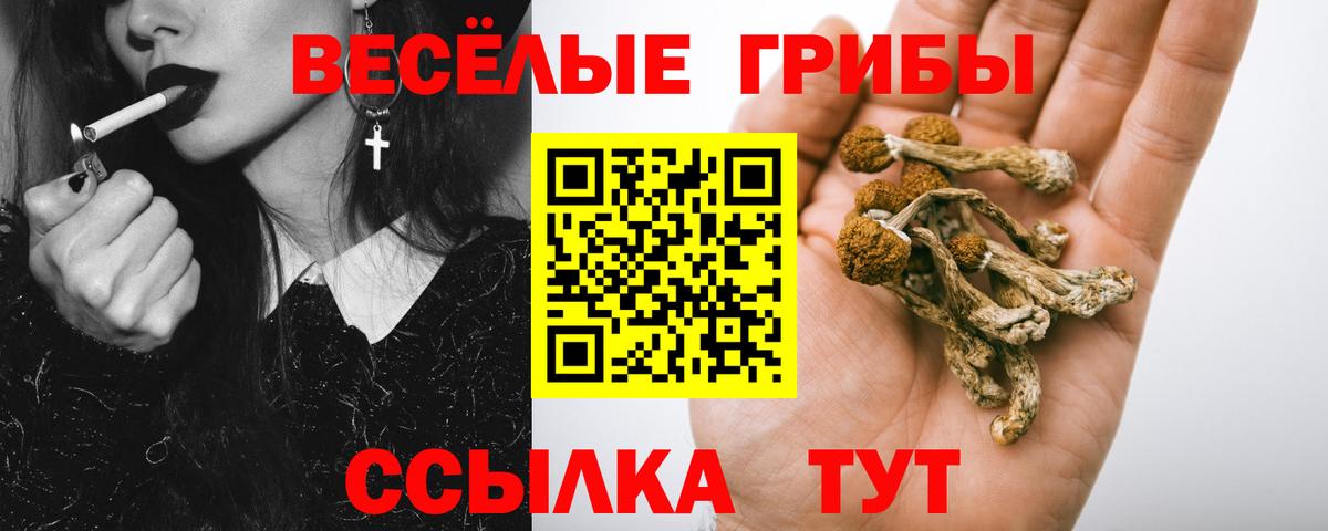 Галлюциногенные грибы Psilocybe  Вход с VPN  Краснокамск 